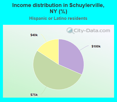 Income distribution in Schuylerville, NY (%)