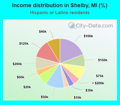 Income distribution in Shelby, MI (%)