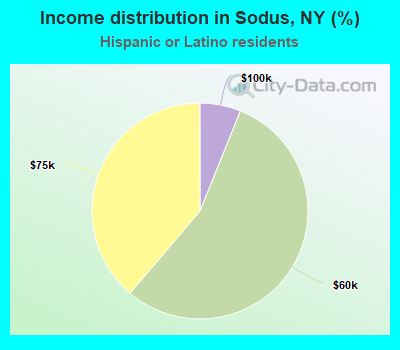 Income distribution in Sodus, NY (%)