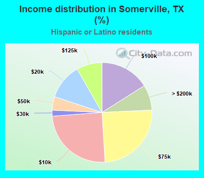 Income distribution in Somerville, TX (%)