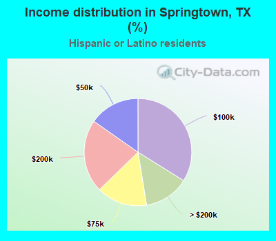 Income distribution in Springtown, TX (%)