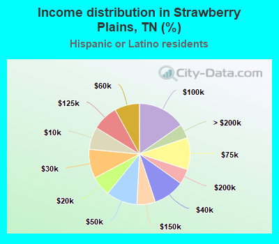 Income distribution in Strawberry Plains, TN (%)