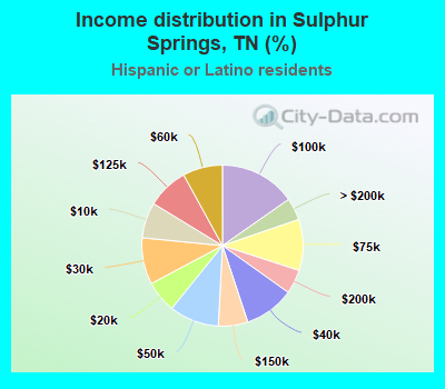 Income distribution in Sulphur Springs, TN (%)