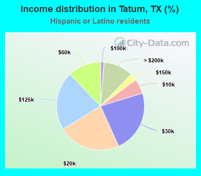 Income distribution in Tatum, TX (%)