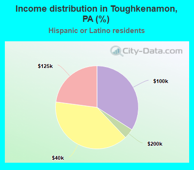 Income distribution in Toughkenamon, PA (%)