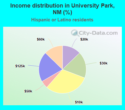 Income distribution in University Park, NM (%)