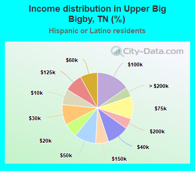 Income distribution in Upper Big Bigby, TN (%)