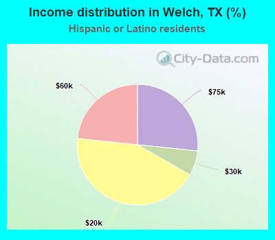 Income distribution in Welch, TX (%)