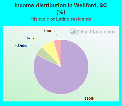 Income distribution in Wellford, SC (%)