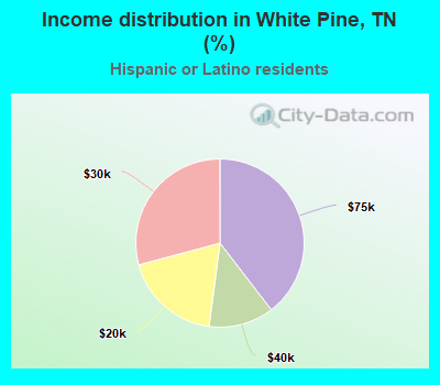 Income distribution in White Pine, TN (%)