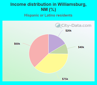 Income distribution in Williamsburg, NM (%)
