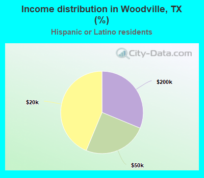 Income distribution in Woodville, TX (%)