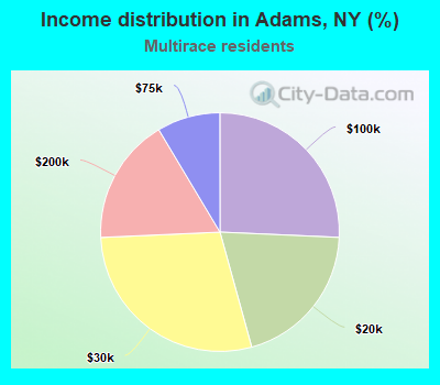 Income distribution in Adams, NY (%)