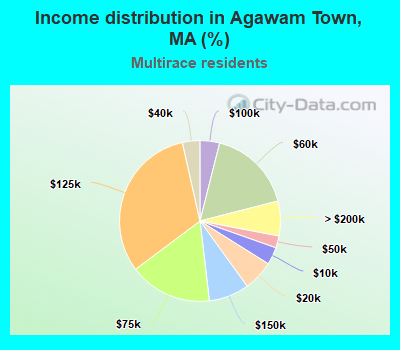 Income distribution in Agawam Town, MA (%)