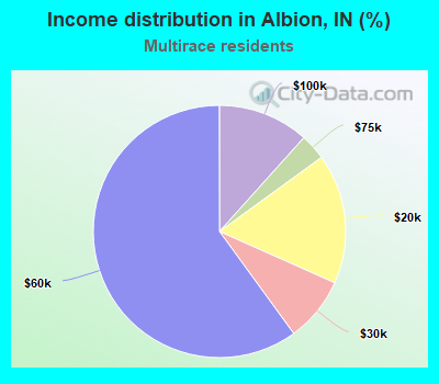 Income distribution in Albion, IN (%)