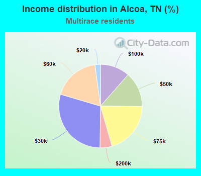 Income distribution in Alcoa, TN (%)
