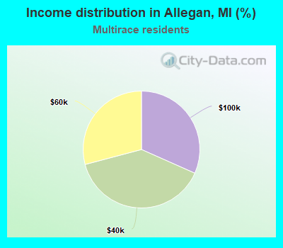 Income distribution in Allegan, MI (%)