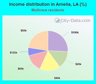 Income distribution in Amelia, LA (%)