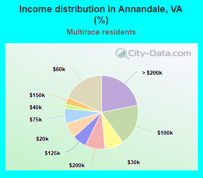 Income distribution in Annandale, VA (%)