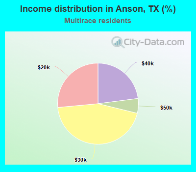 Income distribution in Anson, TX (%)