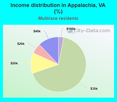 Income distribution in Appalachia, VA (%)