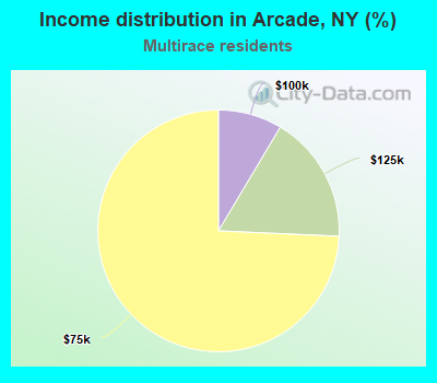 Income distribution in Arcade, NY (%)