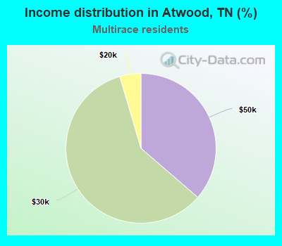 Income distribution in Atwood, TN (%)