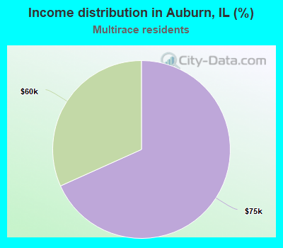 Income distribution in Auburn, IL (%)