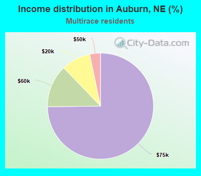 Income distribution in Auburn, NE (%)