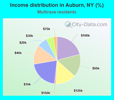Income distribution in Auburn, NY (%)