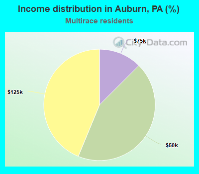 Income distribution in Auburn, PA (%)