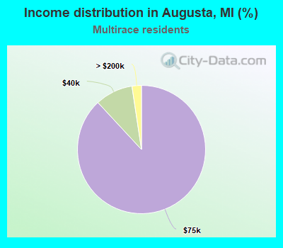 Income distribution in Augusta, MI (%)