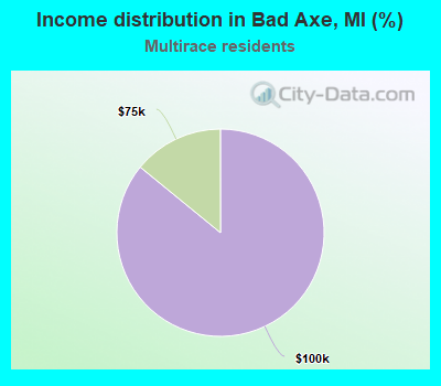 Income distribution in Bad Axe, MI (%)