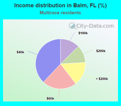 Income distribution in Balm, FL (%)