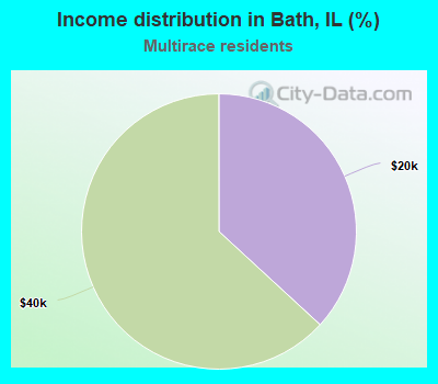 Income distribution in Bath, IL (%)