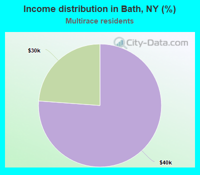 Income distribution in Bath, NY (%)