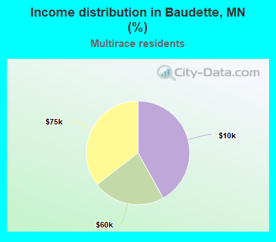 Income distribution in Baudette, MN (%)