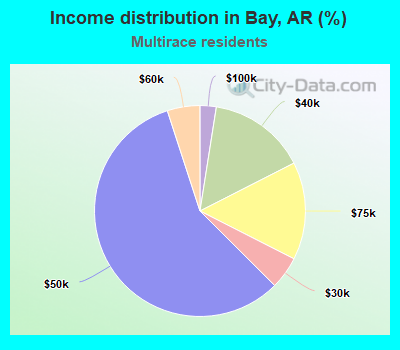 Income distribution in Bay, AR (%)