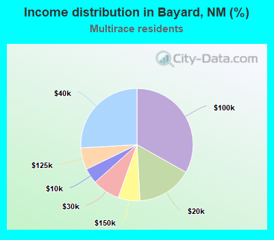 Income distribution in Bayard, NM (%)