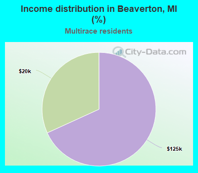 Income distribution in Beaverton, MI (%)