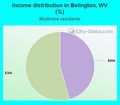 Income distribution in Belington, WV (%)