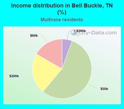Income distribution in Bell Buckle, TN (%)