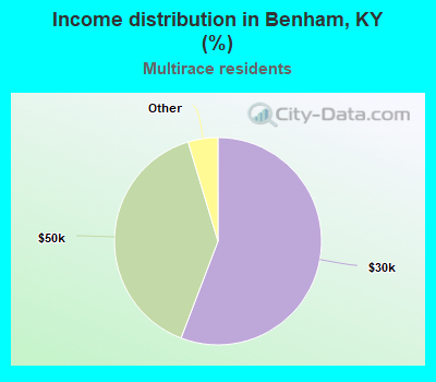 Income distribution in Benham, KY (%)