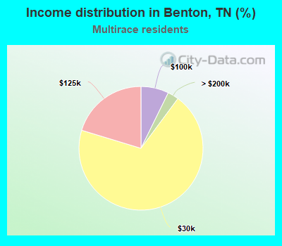 Income distribution in Benton, TN (%)