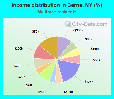 Income distribution in Berne, NY (%)