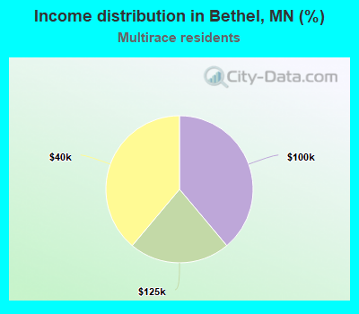 Income distribution in Bethel, MN (%)