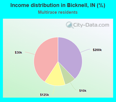 Income distribution in Bicknell, IN (%)
