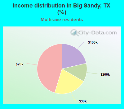 Income distribution in Big Sandy, TX (%)