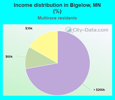 Income distribution in Bigelow, MN (%)