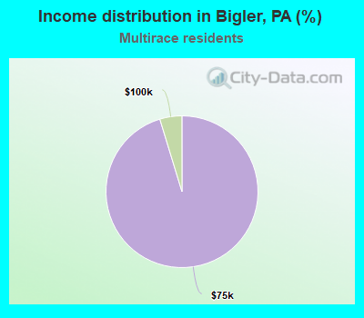 Income distribution in Bigler, PA (%)